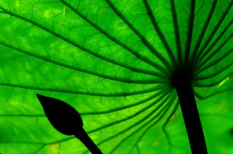 Giá trị của giáo lý Nghiệp